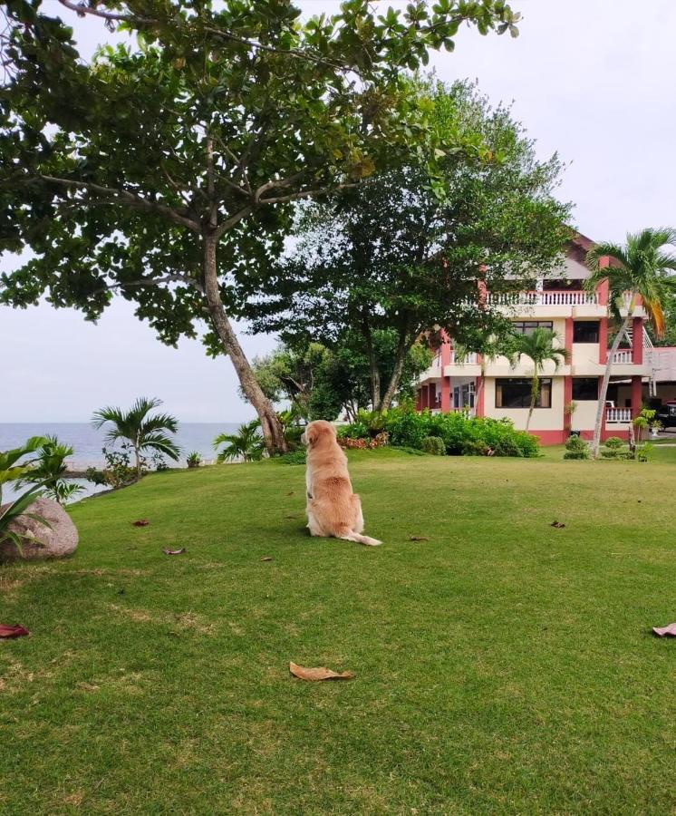 Wuthering Heights Bed & Breakfast By The Sea Dumaguete City Eksteriør billede