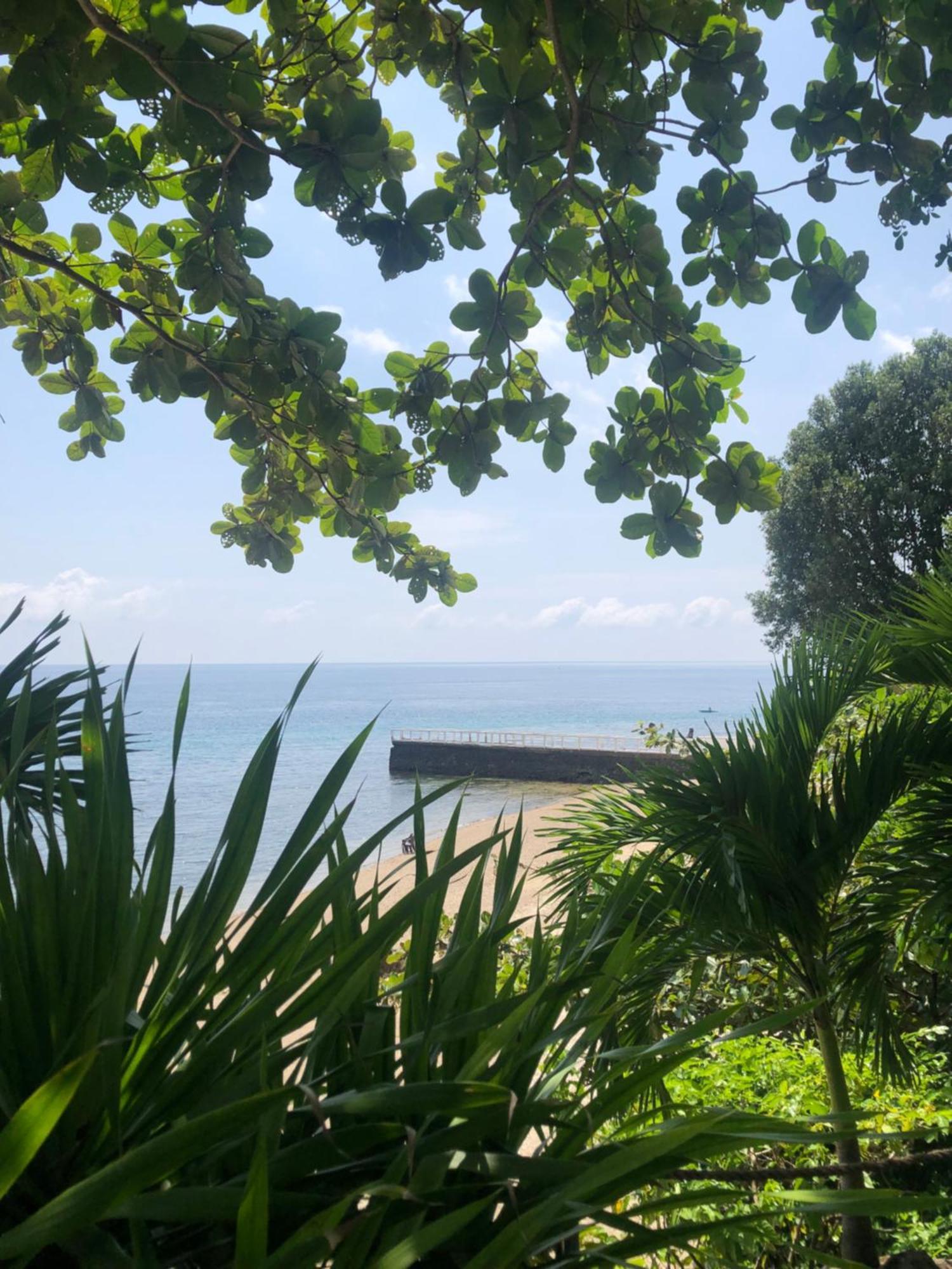 Wuthering Heights Bed & Breakfast By The Sea Dumaguete City Eksteriør billede