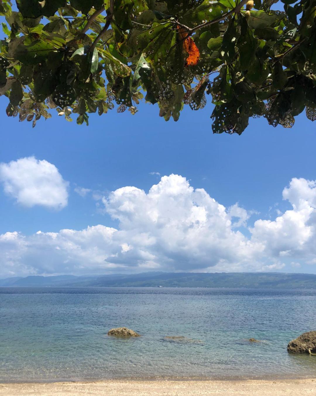 Wuthering Heights Bed & Breakfast By The Sea Dumaguete City Eksteriør billede