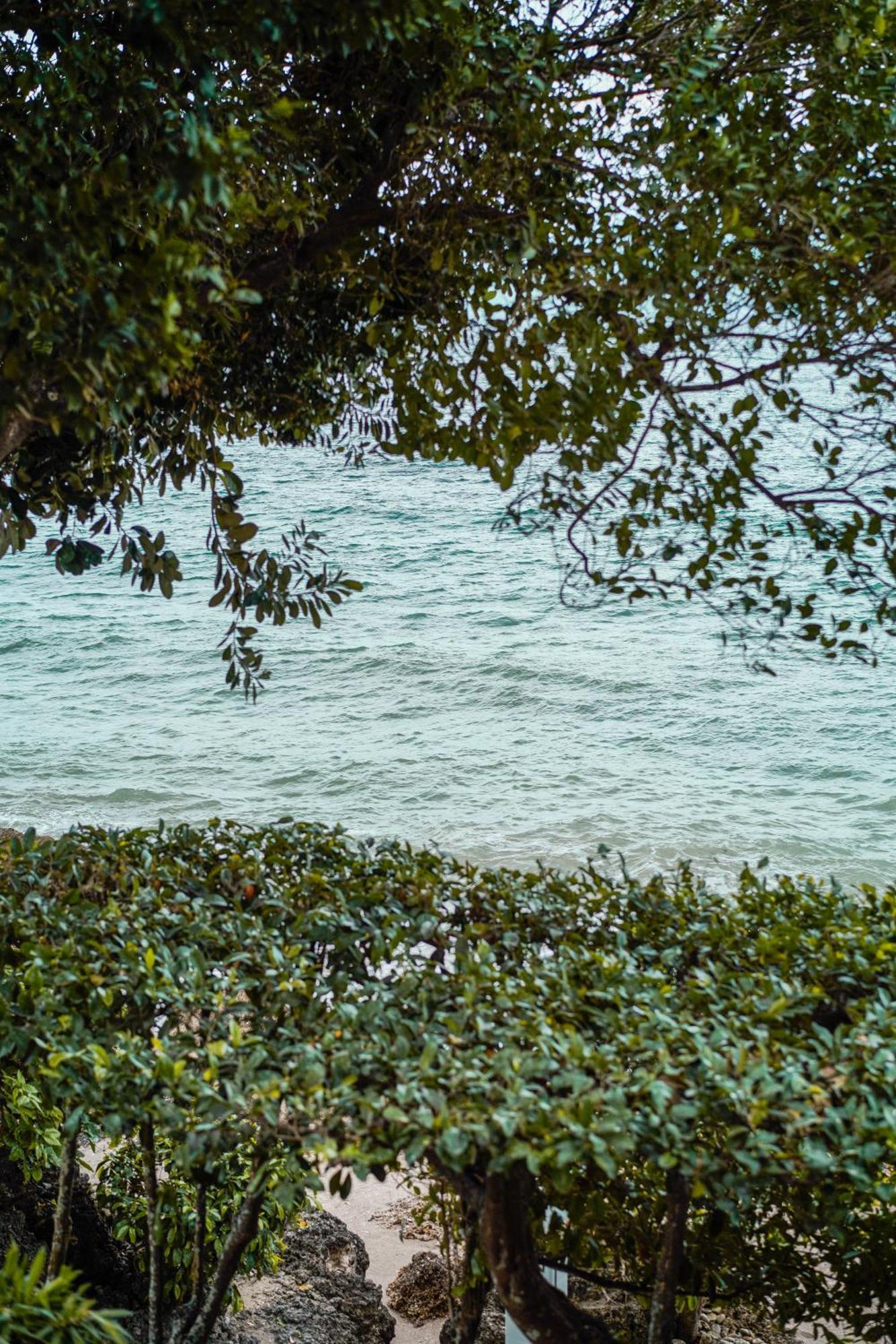 Wuthering Heights Bed & Breakfast By The Sea Dumaguete City Eksteriør billede
